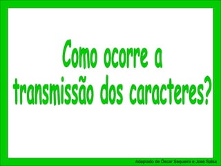 Adaptado de Óscar Sequeira e José Salsa
 