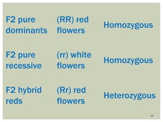 16
F2 pure
dominants
(RR) red
flowers
Homozygous
F2 pure
recessive
(rr) white
flowers
Homozygous
F2 hybrid
reds
(Rr) red
flowers
Heterozygous
 