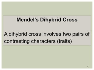 Mendel's Dihybrid Cross
A dihybrid cross involves two pairs of
contrasting characters (traits)
17
 