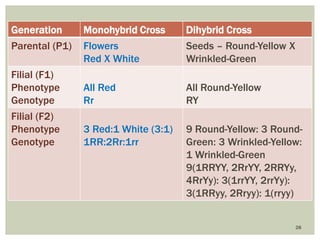 28
Generation Monohybrid Cross Dihybrid Cross
Parental (P1) Flowers
Red X White
Seeds – Round-Yellow X
Wrinkled-Green
Filial (F1)
Phenotype
Genotype
All Red
Rr
All Round-Yellow
RY
Filial (F2)
Phenotype
Genotype
3 Red:1 White (3:1)
1RR:2Rr:1rr
9 Round-Yellow: 3 Round-
Green: 3 Wrinkled-Yellow:
1 Wrinkled-Green
9(1RRYY, 2RrYY, 2RRYy,
4RrYy): 3(1rrYY, 2rrYy):
3(1RRyy, 2Rryy): 1(rryy)
 