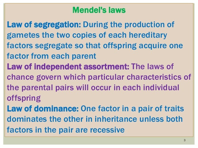 MENDELS 3 LAWS OF INHERITANCE EBOOK DOWNLOAD MENDELS 3 LAWS OF INHERITANCE EBOOK DOWNLOAD