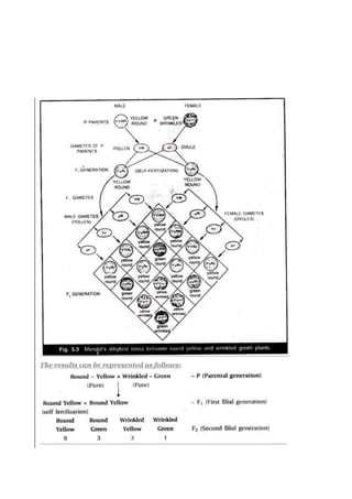 The results can be represented as follows:
 