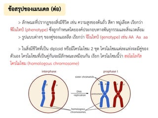 > ลักษณะที่ปรากฏของสิ่งมีชีวิต เช่น ความสูงของต้นถั่ว สีตา หมู่เลือด เรียกว่า
ฟีโนไทป์ (phenotype) ซึ่งถูกกาหนดโดยองค์ประกอบทางพันธุกรรมและสิ่งแวดล้อม
> รูปแบบต่างๆ ของคู่ของแอลลีล เรียกว่า จีโนไทป์ (genotype) เช่น AA Aa aa
> ในสิ่งมีชีวิตที่เป็น diploid หรือมีโครโมโซม 2 ชุด โครโมโซมแต่ละแท่งจะมีคู่ของ
ตัวเอง โครโมโซมที่เป็นคู่กันจะมีลักษณะเหมือนกัน เรียก โครโมโซมนี้ว่า ฮอโมโลกัส
โครโมโซม (homologous chromosome)
 