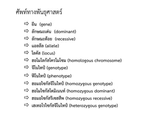  จีโนไทป์ (genotype)
 ฟีโนไทป์ (phenotype)
 ฮอมอไซกัสจีโนไทป์ (homozygous genotype)
 ฮอโมไซกัสโดมิเนนท์ (homozygous dominant)
 ฮอมอไซกัสรีเซสสีพ (homozygous recessive)
 เฮเทอโรไซกัสจีโนไทป์ (heterozygous genotype)
 ฮอโมโลกัสโครโมโซม (homologous chromosome)
 โลคัส (locus)
 แอลลีล (allele)
 ยีน (gene)
 ลักษณะเด่น (dominant)
 ลักษณะด้อย (recessive)
 
