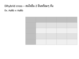 Dihybrid cross – สนใจยีน 2 ยีนพร้อมๆ กัน
Ex. AaBb × AaBb
 