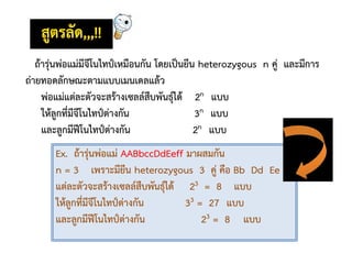 Ex. ถ้ารุ่นพ่อแม่ AABbccDdEeff มาผสมกัน
n = 3 เพราะมียีน heterozygous 3 คู่ คือ Bb Dd Ee
แต่ละตัวจะสร้างเซลล์สืบพันธุ์ได้ 23 = 8 แบบ
ให้ลูกที่มีจีโนไทป์ต่างกัน 33 = 27 แบบ
และลูกมีฟีโนไทป์ต่างกัน 23 = 8 แบบ
ถ้ารุ่นพ่อแม่มีจีโนไทป์เหมือนกัน โดยเป็นยีน heterozygous n คู่ และมีการ
ถ่ายทอดลักษณะตามแบบเมนเดลแล้ว
พ่อแม่แต่ละตัวจะสร้างเซลล์สืบพันธุ์ได้ 2n แบบ
ให้ลูกที่มีจีโนไทป์ต่างกัน 3n แบบ
และลูกมีฟีโนไทป์ต่างกัน 2n แบบ
 