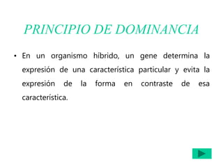 PRINCIPIO DE DOMINANCIA
• En un organismo híbrido, un gene determina la
expresión de una característica particular y evita la
expresión de la forma en contraste de esa
característica.
 