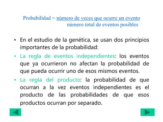 Probabilidad = número de veces que ocurre un evento
número total de eventos posibles
• En el estudio de la genética, se usan dos principios
importantes de la probabilidad:
• La regla de eventos independientes: los eventos
que ya ocurrieron no afectan la probabilidad de
que pueda ocurrir uno de esos mismos eventos.
• La regla del producto: la probabilidad de que
ocurran a la vez eventos independientes es el
producto de las probabilidades de que esos
productos ocurran por separado.
 