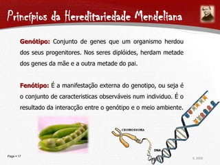 Princípios da Hereditariedade Mendeliana<br />Genótipo: Conjunto de genes que um organismo herdou dos seus progenitores. N...