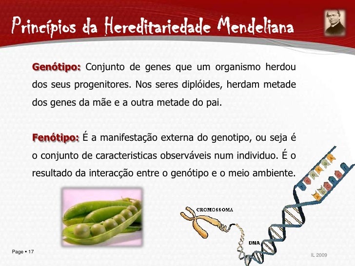 O Nome Da Unidade Básica Da Hereditariedade