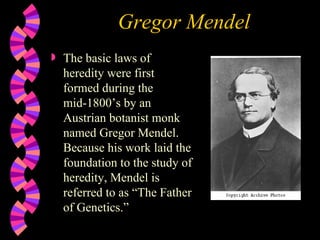 Gregor Mendel ,[object Object]
