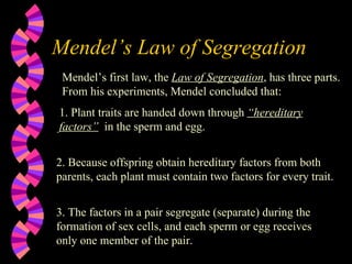 Mendel’s Law of Segregation Mendel’s first law, the  Law of Segregation , has three parts.  From his experiments, Mendel concluded that: 1. Plant traits are handed down through  “hereditary factors”   in the sperm and egg.  2. Because offspring obtain hereditary factors from both parents, each plant must contain two factors for every trait.  3. The factors in a pair segregate (separate) during the formation of sex cells, and each sperm or egg receives only one member of the pair. 