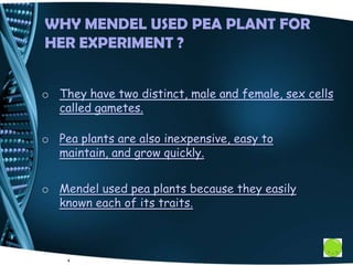 WHY MENDEL USED PEA PLANT FOR
HER EXPERIMENT ?
o They have two distinct, male and female, sex cells
called gametes.
4
o Pea plants are also inexpensive, easy to
maintain, and grow quickly.
o Mendel used pea plants because they easily
known each of its traits.
 