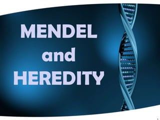 MENDEL
and
HEREDITY
 