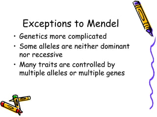What does the F2 cross tell us?Are there combinations of alleles that we did not see in either of the parents?This means that the alleles for seed color separated independently than the alleles for seed shapeGenes that segregate separately do NOT influence each other’s inheritance