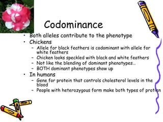 Exceptions to MendelGenetics more complicatedSome alleles are neither dominant nor recessiveMany traits are controlled by multiple alleles or multiple genes