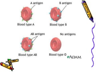 CodominanceBoth alleles contribute to the phenotypeChickensAllele for black feathers is codominant with allele for white feathersChicken looks speckled with black and white feathersNot like the blending of dominant phenotypes…BOTH dominant phenotypes show upIn humansGene for protein that controls cholesterol levels in the bloodPeople with heterozygous form make both types of protien