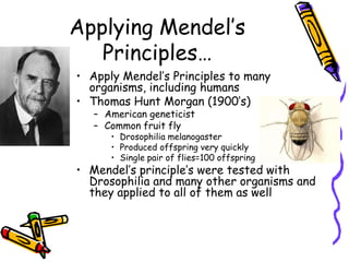 Genes and the EnvironmentGenes provide the plan for developmentHow the plan unfolds depends on the environmentExample:Sunflower has genes for height and color of flowersBut these traits are also influenced by climate, soil conditions and water availability