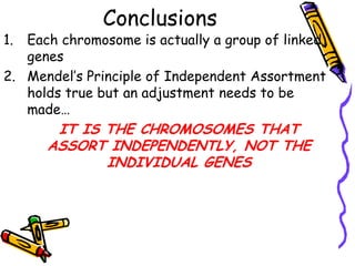 Gene LinkageThomas Hunt Morgan gave us the answer1910 PRINCIPLE of LINKAGE50 Drosophilia genesSeemed to contradict Principle of Independent Assortment b/c certain genes were always inherited togetherHe grouped the fly’s genes into linkage groups