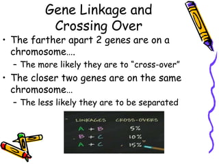 How Mendel missed it…What 7 genes did he study?6 of the 7 genes were on different chromosomesTwo genes were on the same chromosome but they were so far apart on the same chromosome that they assorted independently