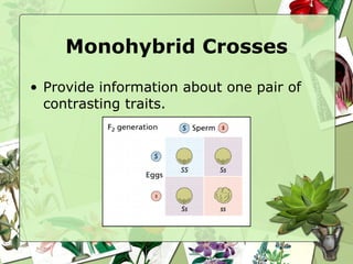 Monohybrid Crosses Provide information about one pair of contrasting traits. 