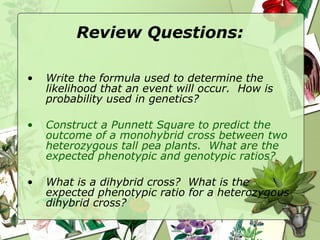 Review Questions: Write the formula used to determine the likelihood that an event will occur.  How is probability used in genetics? Construct a Punnett Square to predict the outcome of a monohybrid cross between two heterozygous tall pea plants.  What are the expected phenotypic and genotypic ratios? What is a dihybrid cross?  What is the expected phenotypic ratio for a heterozygous dihybrid cross? 