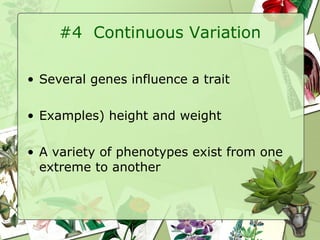 #4  Continuous Variation Several genes influence a trait Examples) height and weight A variety of phenotypes exist from one extreme to another 