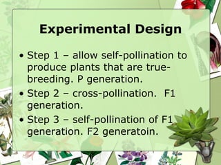 Experimental Design Step 1 – allow self-pollination to produce plants that are true-breeding. P generation. Step 2 – cross-pollination.  F1 generation. Step 3 – self-pollination of F1 generation. F2 generatoin.  