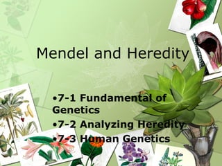 Mendel and Heredity ,[object Object],[object Object],[object Object]