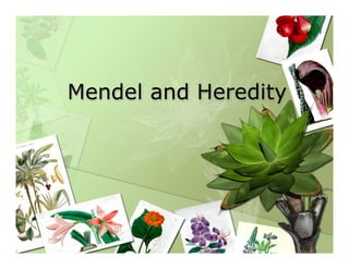 Mendel and Heredity
 