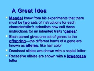 A Great Idea
   Mendel knew from his experiments that there
    must be two sets of instructions for each
    characteristic scientists now call these
    instructions for an inherited traits “ genes”
   Each parent gives one set of genes to the
    offspring —the different forms of a gene are
    known as alleles , like hair color
   Dominant alleles are shown with a capital letter
   Recessive alleles are shown with a lowercase
    letter
 
