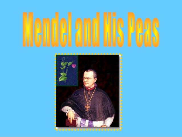 Mendel and his peas