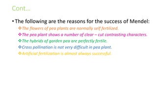 Cont…
• The following are the reasons for the success of Mendel:
The flowers of pea plants are normally self fertilized.
The pea plant shows a number of clear – cut contrasting characters.
The hybrids of garden pea are perfectly fertile.
Cross pollination is not very difficult in pea plant.
Artificial fertilization is almost always successful.
 