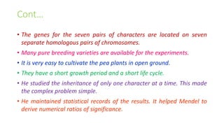 Cont…
• The genes for the seven pairs of characters are located on seven
separate homologous pairs of chromosomes.
• Many pure breeding varieties are available for the experiments.
• It is very easy to cultivate the pea plants in open ground.
• They have a short growth period and a short life cycle.
• He studied the inheritance of only one character at a time. This made
the complex problem simple.
• He maintained statistical records of the results. It helped Mendel to
derive numerical ratios of significance.
 