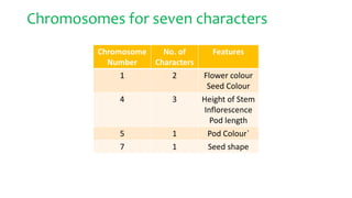 Chromosomes for seven characters
Chromosome
Number
No. of
Characters
Features
1 2 Flower colour
Seed Colour
4 3 Height of Stem
Inflorescence
Pod length
5 1 Pod Colour`
7 1 Seed shape
 