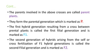 Cont…
• The parents involved in the above crosses are called parent
plants.
• They form the parental generation which is marked as P.
• The first hybrid generation resulting from a cross between
prental plants is called the first filial generation and is
marked as F1.
• The second generation of hybrids arising from the self or
cross fertilization of F1 hybrid generations is called the
second Filial generation and is marked as F2.
 