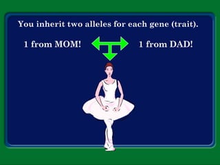 You inherit two alleles for each gene (trait).
1 from MOM! 1 from DAD!
 
