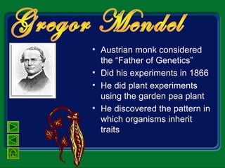 • Austrian monk considered
the “Father of Genetics”
• Did his experiments in 1866
• He did plant experiments
using the garden pea plant
• He discovered the pattern in
which organisms inherit
traits
 