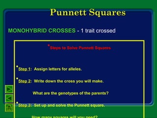 Punnett SquaresPunnett Squares
•Steps to Solve Punnett SquaresSteps to Solve Punnett Squares
•Step 1Step 1: Assign letters for alleles.
•Step 2Step 2: Write down the cross you will make.
What are the genotypes of the parents?
•Step 3Step 3: Set up and solve the Punnett square.
MONOHYBRID CROSSESMONOHYBRID CROSSES - 1 trait crossed
 