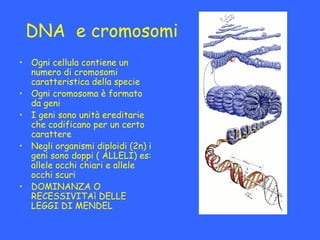 DNA e cromosomi
• Ogni cellula contiene un
  numero di cromosomi
  caratteristica della specie
• Ogni cromosoma è formato
...
