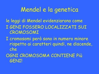 Mendel e la genetica
le leggi di Mendel evidenziarono come
I GENI FOSSERO LOCALIZZATI SUI
  CROMOSOMI
I cromosomi però son...