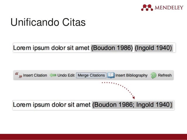 Mendeley Institutional Edition más que gestión de