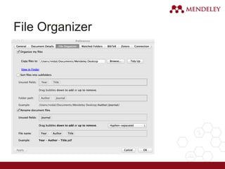 File Organizer
 