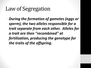 Law of Segregation
• During the formation of gametes (eggs or
sperm), the two alleles responsible for a
trait separate from each other. Alleles for
a trait are then "recombined" at
fertilization, producing the genotype for
the traits of the offspring.

 