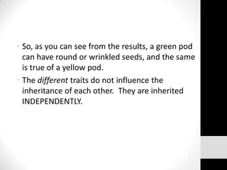 • So, as you can see from the results, a green pod
can have round or wrinkled seeds, and the same
is true of a yellow pod.
• The different traits do not influence the
inheritance of each other. They are inherited
INDEPENDENTLY.

 