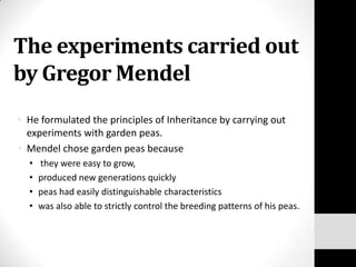 The experiments carried out
by Gregor Mendel
• He formulated the principles of Inheritance by carrying out
experiments with garden peas.
• Mendel chose garden peas because
•
•
•
•

they were easy to grow,
produced new generations quickly
peas had easily distinguishable characteristics
was also able to strictly control the breeding patterns of his peas.

 