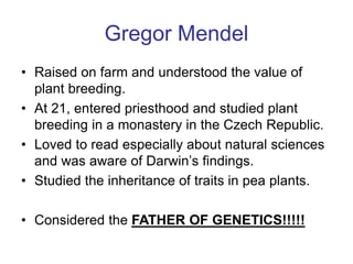 Gregor Mendel
• Raised on farm and understood the value of
plant breeding.
• At 21, entered priesthood and studied plant
breeding in a monastery in the Czech Republic.
• Loved to read especially about natural sciences
and was aware of Darwin’s findings.
• Studied the inheritance of traits in pea plants.
• Considered the FATHER OF GENETICS!!!!!
 