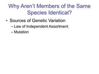 Why Aren’t Members of the Same
Species Identical?
• Sources of Genetic Variation
– Law of Independent Assortment
– Mutation
 