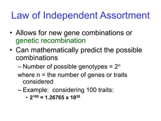 Law of Independent Assortment
• Allows for new gene combinations or
genetic recombination
• Can mathematically predict the possible
combinations
– Number of possible genotypes = 2n
where n = the number of genes or traits
considered
– Example: considering 100 traits:
• 2100 = 1.26765 x 1030
 