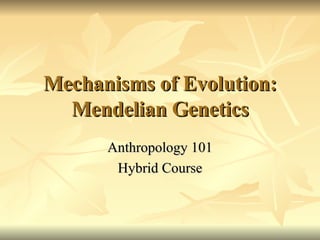 Mechanisms of Evolution: Mendelian Genetics Anthropology 101 Hybrid Course 